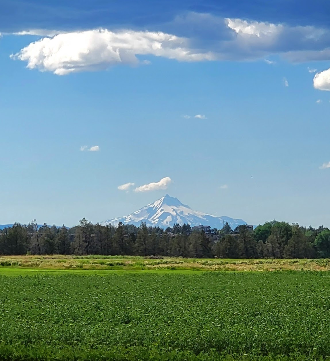 1 person taking a right hand turn on his bike towards the camera. Ranch fence and pasture in the background, with the sisters mountains behind that. A sign on the road reads "Bend 12" and "Sisters 10" in opposite directions